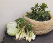 Cebollas, coles y una planta - foto de stock