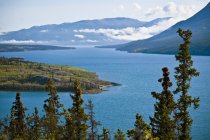 Tagish озеро і острів Бове — стокове фото