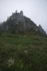 Скелясті гори зі зеленій траві — стокове фото
