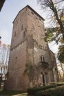 Turm der Burg Rocca dei Rossi — Stockfoto