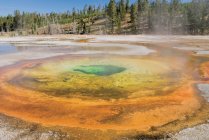 Parco nazionale di Yellowstone — Foto stock