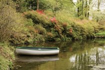 Ein Boot im Fluss im Nationalpark Dartmoor — Stockfoto