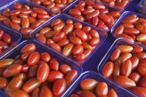 Tomates prunes assises dans des cartons — Photo de stock