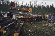 Carregador de elevação Log — Fotografia de Stock