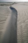 Sanddüne an der Küste — Stockfoto