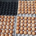 Коричневі яйці картону; Пусан Кореї — стокове фото