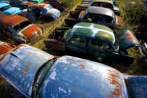 Cars In Junkyard during daytime — Stock Photo