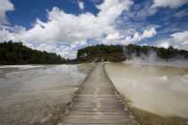 Brücke am geothermischen Standort wai-o-tapu — Stockfoto