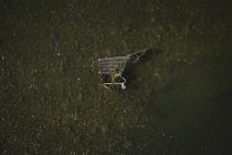 Top view of abandoned shopping cart In river — Stock Photo