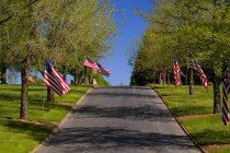 Bandeiras americanas ao longo de uma estrada — Fotografia de Stock