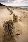 Pfosten im Sandstrand — Stockfoto