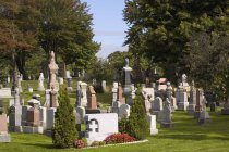 Mount Royal кладовище — стокове фото