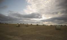 Balle di fieno in campo al tramonto — Foto stock