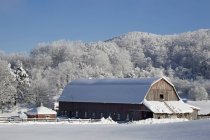 Casa e fienile in inverno — Foto stock