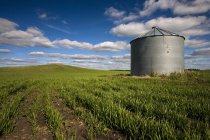 Grainerie dans le champ des Prairies — Photo de stock