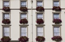 Flowers Boxes On The Side Of A Building — Stock Photo