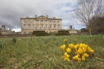Grounds In Front Of Howick Hall — Stock Photo
