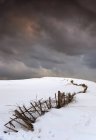 Cerca a lo largo del campo cubierto de nieve - foto de stock