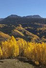 Herbstliche landschaft der san juan berge — Stockfoto