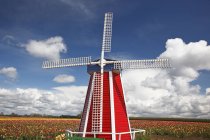 Windmühle auf hölzernem Tulpenhof — Stockfoto