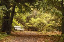 Panchina del parco Lungo il sentiero — Foto stock