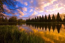 Reflexão do pôr do sol na lagoa — Fotografia de Stock