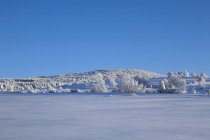 Зимовий пейзаж зі снігом — стокове фото