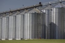 Бункери зберігання великих зерна. Альберта, Канада — стокове фото