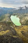 Lago di capra in cima alla vetta — Foto stock
