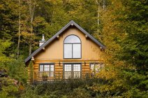 Log House Surrounded By Trees — Stock Photo