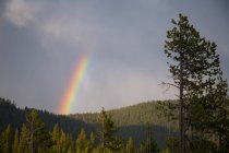 Regenbogen über Berghügeln — Stockfoto