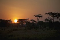 Amanecer en un paisaje africano - foto de stock