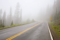 Foggy Road, Mount Rainier National Park, Washington, EUA — Fotografia de Stock