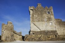 Castillo de Ross, Irlanda - foto de stock