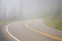 Туманная дорога Маунт-Рейнир — стоковое фото