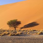 Песчаная дюна, Намибия, Африка — стоковое фото