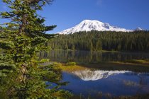 Reflexão do Monte Rainier em um lago — Fotografia de Stock