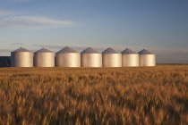 Металлические зерновые контейнеры — стоковое фото