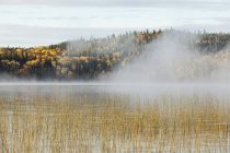 Nebbia oltre un lago in autunno — Foto stock