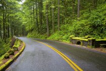 Estrada de asfalto rural — Fotografia de Stock