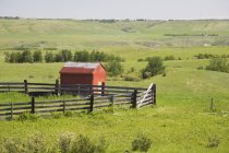 Pasture Fields With Red Shack — Stock Photo