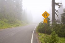 Neblige Straße im Mount Rainier Nationalpark — Stockfoto