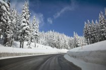 Snow Along Road — Stock Photo