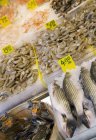 Meeresfrüchte auf dem Wochenmarkt — Stockfoto