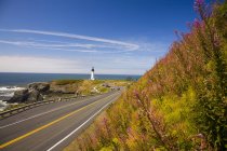 Lighthouse on shore and road — Stock Photo