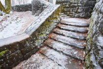Icy Steps By Latourell Falls — Stock Photo