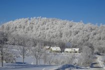 Casas cobertas de neve no inverno — Fotografia de Stock
