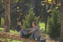 Padre e figlio insaccamento foglie insieme a parco — Foto stock