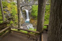 Водопад на скале с деревьями — стоковое фото