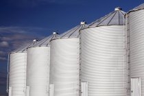 Row of metal silos under blue sky. Alberta, Canada — Stock Photo